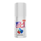 Ароматизатор для вейпа MOLECULA x LEGGO - Черника Брусника 14 мл